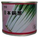 特级日本钢葱——日本品种